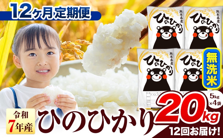 
                  令和7年産 無洗米 【12ヶ月定期便】 ひのひかり 20kg《お申込み翌月から出荷》 熊本県産 無洗米 精米 氷川町 ひの 送料無料 ヒノヒカリ コメ 便利 ブランド米 お米 おこめ 熊本
                