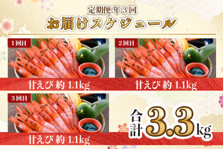 【年3回お届け】甘えび 約1.1㎏ × 3回 合計3.3㎏ 天然・鮮度抜群！ 漁船直送！ 「共栄丸」 絶品甘海老をお届け！【甘海老 甘エビ あまえび アマエビ エビ 刺身 冷凍 産地直送】 [D-23