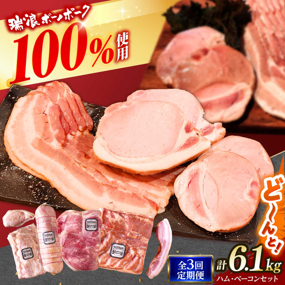 【ふるさと納税】【3回定期便】 ハム・ベーコン ブロック セット 瑞浪ボーノポーク 6.1kg (冷凍) 瑞浪市 / きなぁた瑞浪 詰め合わせ ギフト[AZCI113]