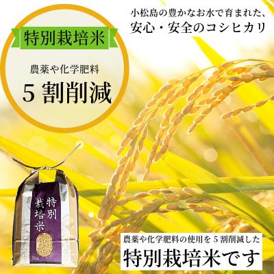 ふるさと納税 小松島市 【2025年9月より順次発送】コシヒカリ 玄米 5kg 特別栽培米 新米 一等米 こめ お米 健康 |  | 01