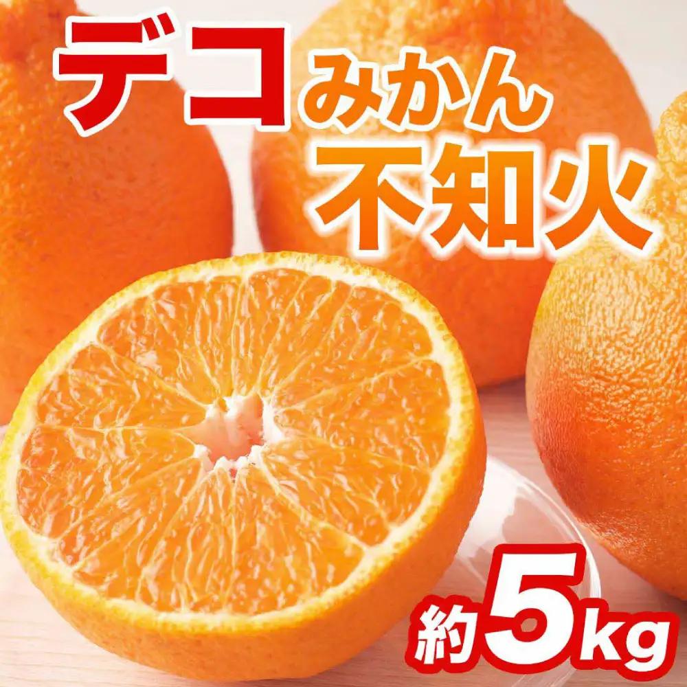 【先行予約】 不知火 デコみかん (デコポン同品種) 約5kg (12～24玉) みかん 柑橘 【2027年2月上旬より順次発送】