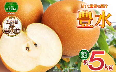 【先行予約】豊水 5kg | 【栃木県共通返礼品】 大 人気  レビュー リピート 梨 豊水 果物 フルーツ デザート スイーツ たっぷり 果汁 果肉 ジューシー 甘い 高糖度 柔らかな シャキシャキ 果肉 旬 品種 果物 くだもの   送料無料 栃木県 下野市