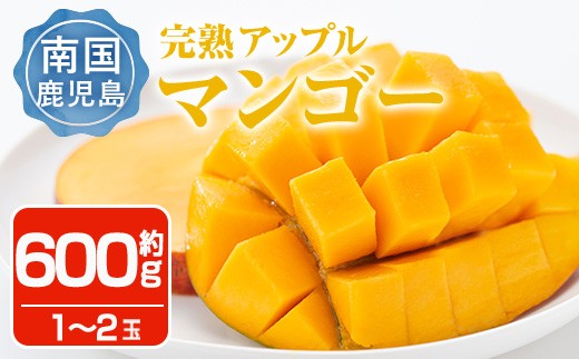 ＜先行予約受付中・2026年6月下旬～7月下旬頃に発送予定＞＜数量限定＞完熟アップルマンゴー「紅」(約600g) マンゴー 果物 フルーツ【大徳産業】 A495-v02
