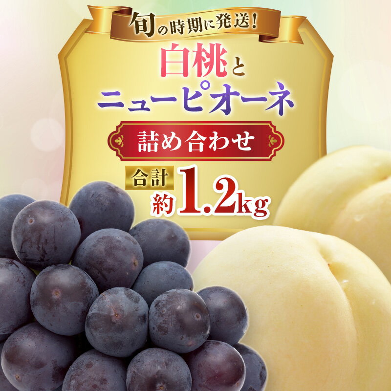 【ふるさと納税】【2026年先行受付】 白桃 ニューピオーネ 約1.2kg セット 桃 2玉 ぶどう 1房 岡山県産 御中元 ギフト 御礼 プレゼント 御礼 御祝 御供 果物 くだもの フルーツ もも モモ 葡萄 ブドウ　お届け：2026年7月上旬〜2026年8月上旬