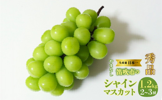 【2026年発送★先行予約】山梨県　笛吹産　シャインマスカット　1.2kg（2～3房）秀品 215-008-26y