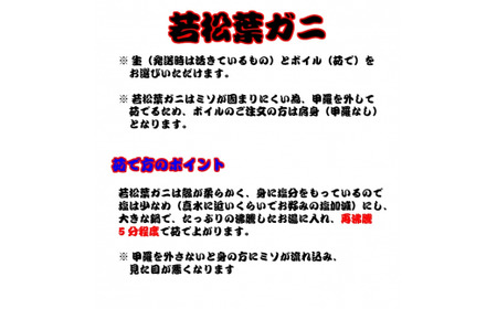 生若松葉ガニ 4枚（足1～2本なし含む）かに カニ 蟹 生 新鮮 かに カニ 蟹 松葉ガニ 松葉がに かに カニ 蟹 生【魚倉】