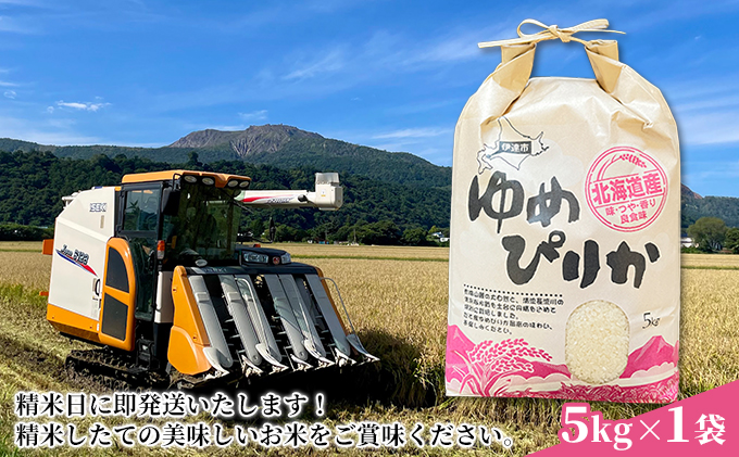 先行予約 9月20日から出荷開始 【令和6年度】 北海道 伊達産 ゆめぴりか 5kg 精米