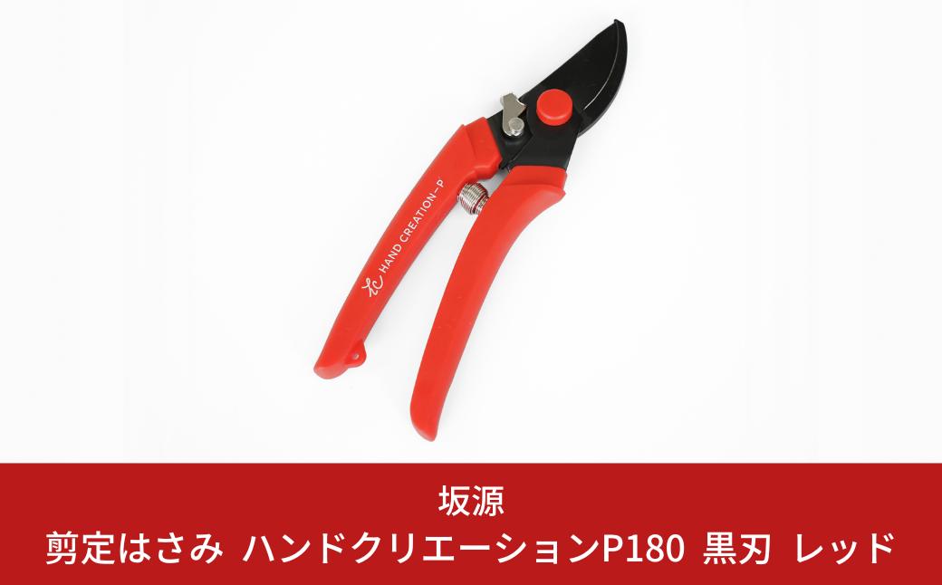 
                  剪定はさみ ハンドクリエーションP180黒刃 レッド 花ハサミ 園芸ハサミ 生花用 園芸用品 ガーデニング用品 [坂源] 【011S151】
                