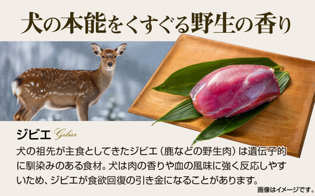 国産鹿肉100％ 中温調理 無添加 クイツキマックス 15g×10本入り [２セット20本] A-JK-A28A