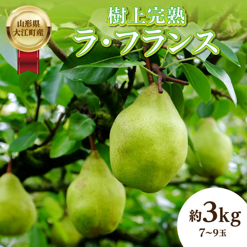 【ふるさと納税】《先行受付》山形県大江町産「樹上完熟 ラ・フランス」約3kg 特秀 3L～4L 7玉～9玉 ふるさと納税 ラ・フランス 洋梨 洋なしフルーツ 果物 デザート