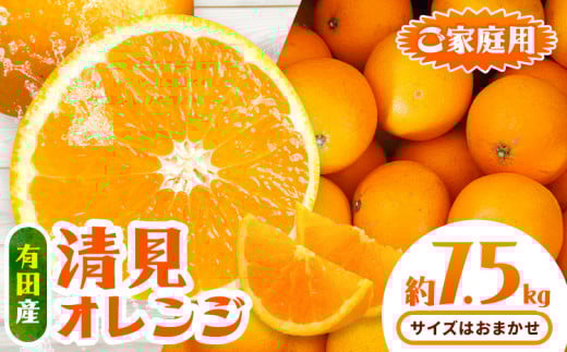 有田産 清見オレンジ ご家庭用 訳あり 約7.5kg サイズおまかせ 日高川町厳選館《2月上旬-3月末頃出荷》和歌山県 日高川町 柑橘 果物 フルーツ 清見 オレンジ 清見オレンジ 有田産