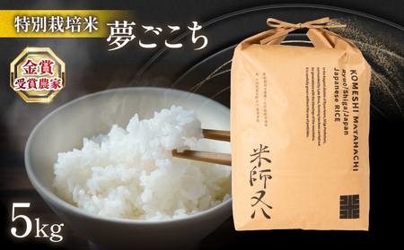 令和8年産 新米 夢ごこち 5kg お米 WN