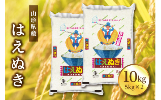 山形県産 はえぬき 10kg(5kg×2) F2Y-3920