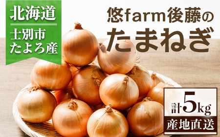 ＜北海道士別市たよろ産＞甘みと旨味が詰まった 玉ねぎ ( 5kg ) たまねぎ 玉葱 野菜 北海道産 士別市産 料理 【悠farm後藤】【A7131】