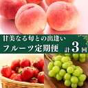 【ふるさと納税】フルーツ 定期便 3回　旬に出逢う城下町の果実 定期配送 いちご 桃 シャインマスカット 果実 果物 ぶどう 　定期便・丸亀市　お届け：入金月の最短回から全3回お届け