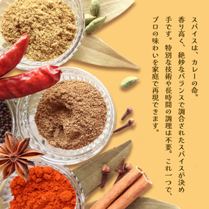 本格 キーマカレー チキンカレー スパイス セット 各3袋 計6袋（1袋4人前） | 簡単 本格 スパイス レシピ カレー セット 小麦粉不使用 グルテンフリー カレー粉 人気 おすすめ 夢叶ベース 