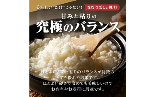 【寄附額改定】《令和8年産先行予約》滝川産ななつぼし無洗米10kg お米マイスター 新米 特A ブランド米 北海道 皇室 白米 精米 米 こめ コメ お米 単一米 ご飯 ごはん 生活応援 送料無料 北
