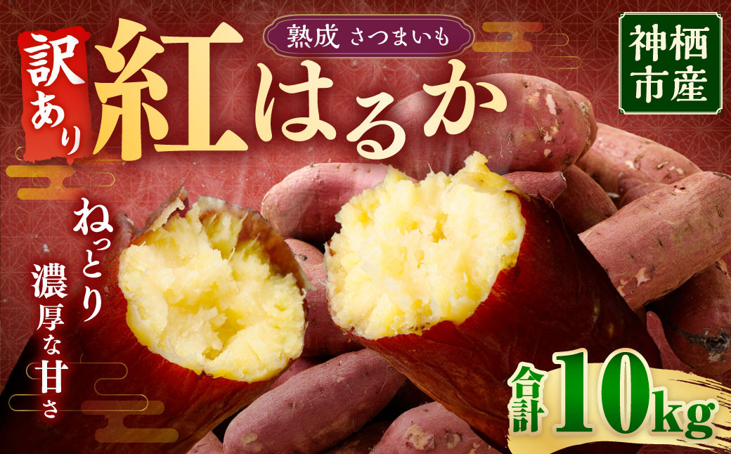 
【 訳あり 】“熟成” 茨城県産 神栖市産 さつまいも 【 紅はるか 】 約10kg 芋 いも サツマイモ 野菜 やさい 国産 【2024年12月上旬より順次発送開始】
