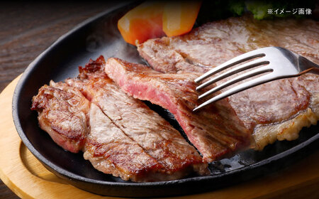 【全3回定期便】五島列島産 黒毛和牛 サーロインステーキ 250g×2枚 五島市/山口Farm[PGJ018]