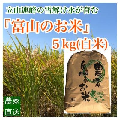 ふるさと納税 魚津市 【早期予約】農家直送「富山米　富富富」5kg(白米)