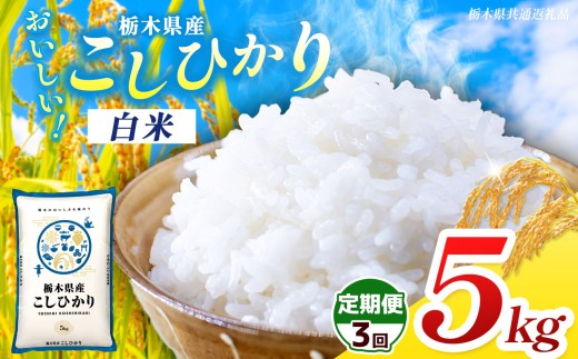 【栃木県共通返礼品】【先行予約】【令和8年度産】【定期３回】 訳あり 栃木県産コシヒカリ 5kg | 定期便 選べる ふるさと 納税 コシヒカリ お米 精米 白米  大粒 共通返礼品 送料無料 那珂川町 栃木県