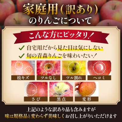 11-12月蜜入り時期に発送! 平均糖度13度以上 葉とらずサンふじ 約5kg 訳あり 青森 りんご【配送不可地域：沖縄県】【1740610】