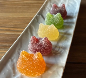 しょこら亭 シャ・ド・フリュイ（chat・do・fruits） 5個入り×4セット お菓子 菓子 スイーツ 洋菓子 フランス伝統菓子 贈答 1Z47024