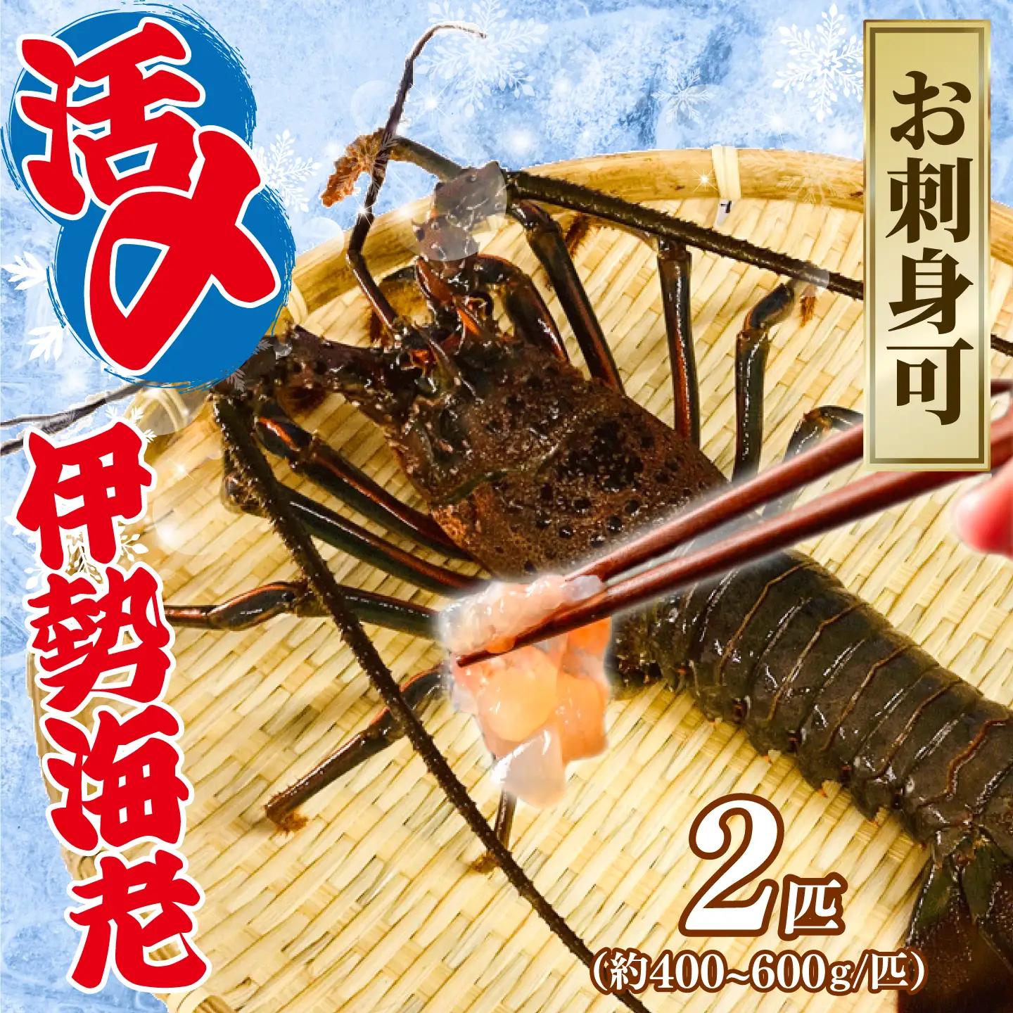 【 伊勢海老 】 活〆冷凍 伊勢海老 2匹