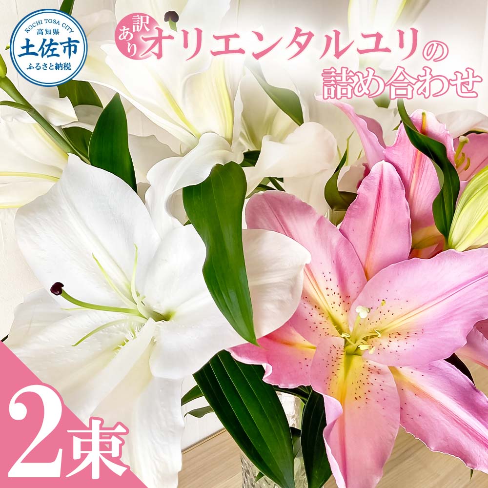 訳あり オリエンタルユリの詰め合わせ 2束(1束4～6本 15輪以上) 花 はな 花束 生花 ゆり 百合 蕾 つぼみ 鑑賞 鑑賞用 白百合 白ゆり 白ユリ 詰め合わせ 国産 家庭用 ご自宅用
