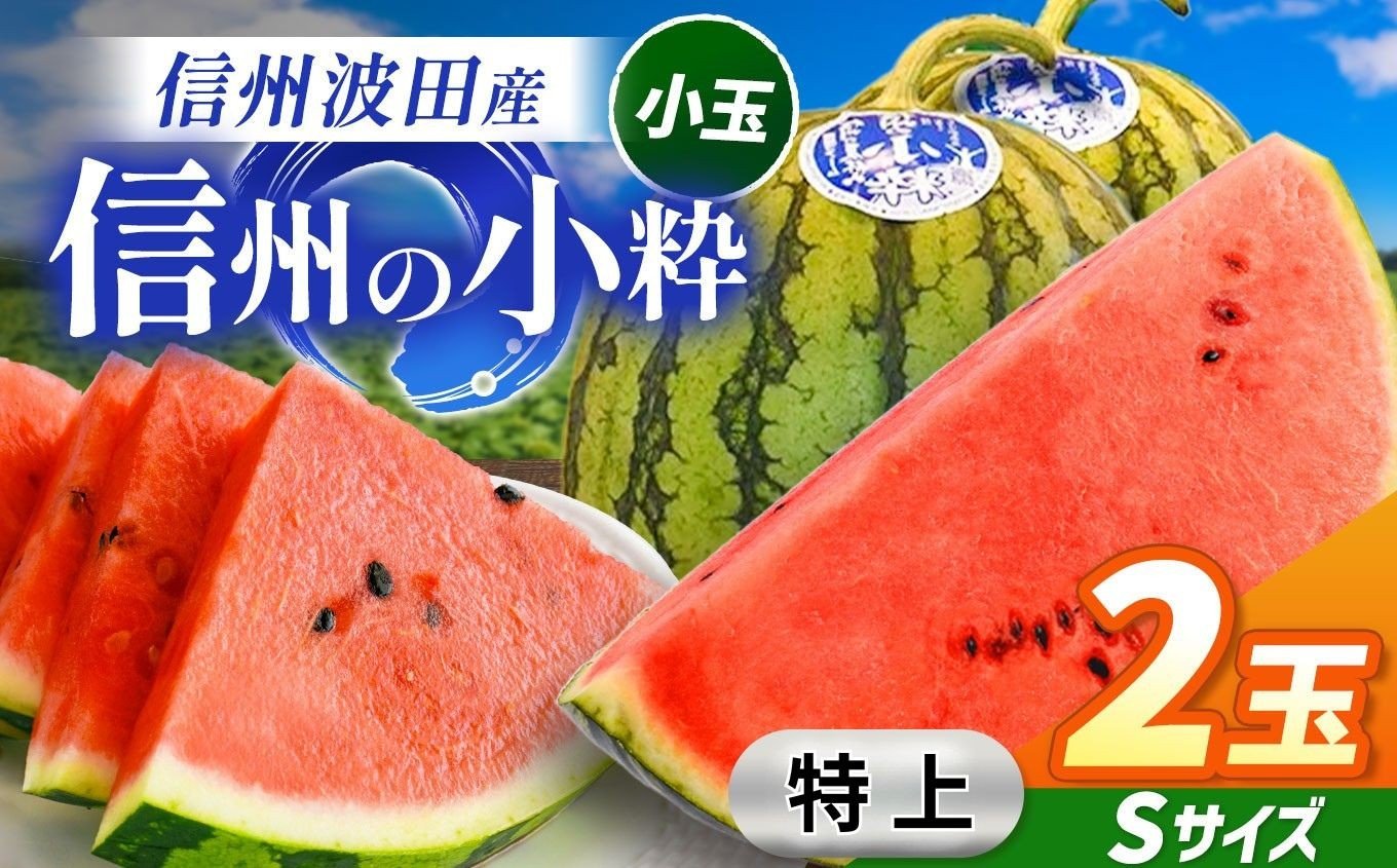 
            【先行受付：2026年7月発送】信州波田産 小玉スイカ ！信州の小粋 【特上】 2玉 Sサイズ｜ふるさと納税 長野県 信州 松本 果物 フルーツ すいか スイカ 西瓜 贈答 季節限定 甘い くだもの ふるーつ
          