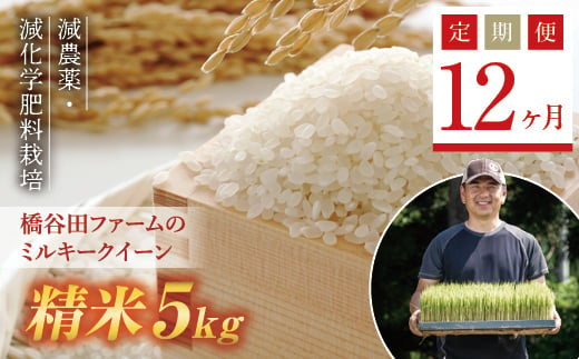 
                  《定期便12ヶ月》【先行予約】令和8年産米    減農薬・減化学肥料栽培 西会津産米 ミルキークイーン 精米 5kg 米 お米 おこめ ご飯 ごはん 福島県 西会津町 F4D-2251
                