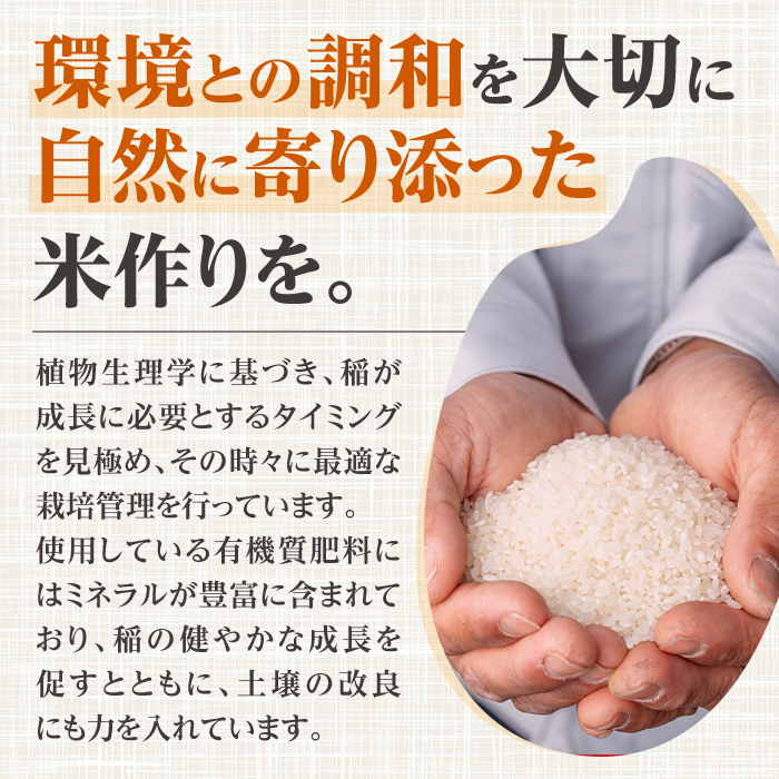 i1179-B 令和7年産 鹿児島県 出水市産 なつほのか (計10kg・5kg×2袋) 米 10kg なつほのか 鹿児島 10キロ お米 九州 九州産 甘み 大粒 【いずみキッチン】