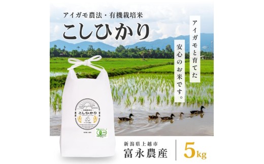 令和7年 新潟県産コシヒカリ アイガモ農法 5kg 5キロ JAS有機栽培米 上越市 三和区神田 富永農産 送料無料 安全・安心こしひかり [№5361-0101]