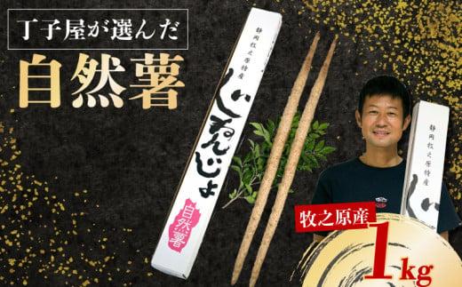 074-3　【R7年12月上旬からの発送】　丁子屋が選んだ 自然薯 台地のご馳走 1kg 新鮮 健康 長寿 とろろ 静岡県 牧之原市 ヤマゴ増田製茶