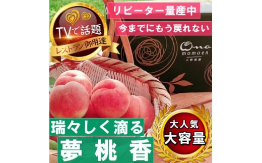《瑞々しく滴る次世代を担う夢桃香》人気品種指定ギフト5年連続TV出演話題ブランド2026年7月上旬～【1465416】