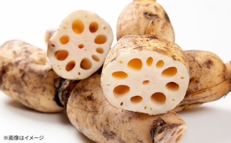 泥付きれんこん 約3kg 【勝農園】[IDK002]