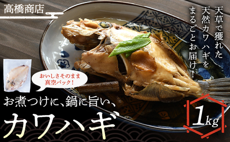 煮つけ 鍋 カワハギ 1kg｜魚魚魚 高橋商店