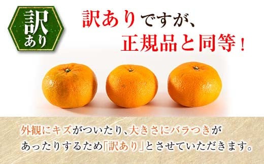 年内お届け 先行予約 訳あり 西南のひかり 計10kg 希少 期間限定 数量限定 みかん オレンジ フルーツ 果物 くだもの 柑橘 国産 食品 デザート おやつ みかんジュース フルーツサンド おすそ