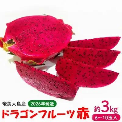 2026年発送【奄美大島産】ドラゴンフルーツ赤 約3kg（6～10玉入） 果物  フルーツ