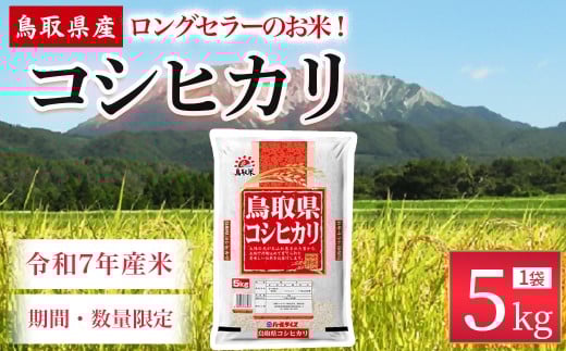 【2月発送】【数量限定】【令和7年産米】鳥取県産 コシヒカリ （5kg） パールライス 令和7年産米 精米 お米 米 こめ コメ 白米 ブランド 米5キロ こしひかり コシヒカリ