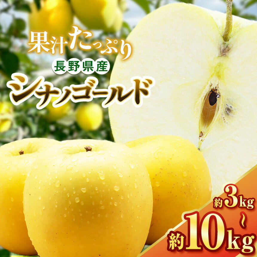 【ふるさと納税】10月下旬発送【選べる】シナノゴールド 3kg～10kg(6～50玉) | ふるさと納税 果物 くだもの フルーツ シナノゴールド リンゴ りんご 林檎 信州産 長野県 松本市