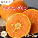 【ふるさと納税】 カラマンダリン 約3kg 約5kg / サイズおまかせ　※2025年4月上旬～5月上旬頃に順次発送予定(お届け日指定不可)　紀伊国屋文左衛門本舗