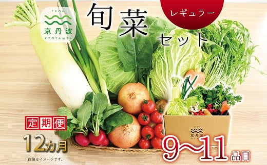 【12回定期便】 京丹波 旬菜セット レギュラー 9～11品目 《12カ月定期便》 定期便 野菜 詰め合わせ 京都 丹波 京丹波町産 産地直送 京野菜 減塩 レシピ ※北海道・東北・沖縄・その他離島は配送不可 [144KK001R]