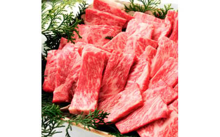 土佐和牛 焼肉用 1kg