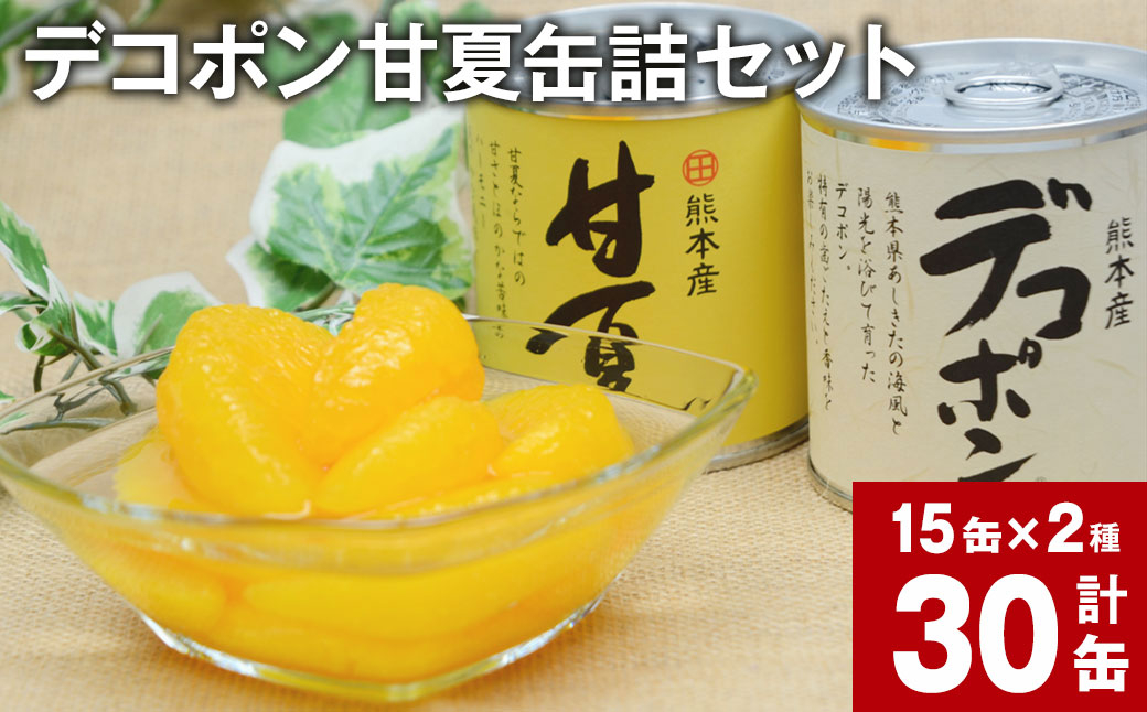 
デコポン甘夏缶詰セット 30缶入 （各15缶） 果物 柑橘 フルーツ

