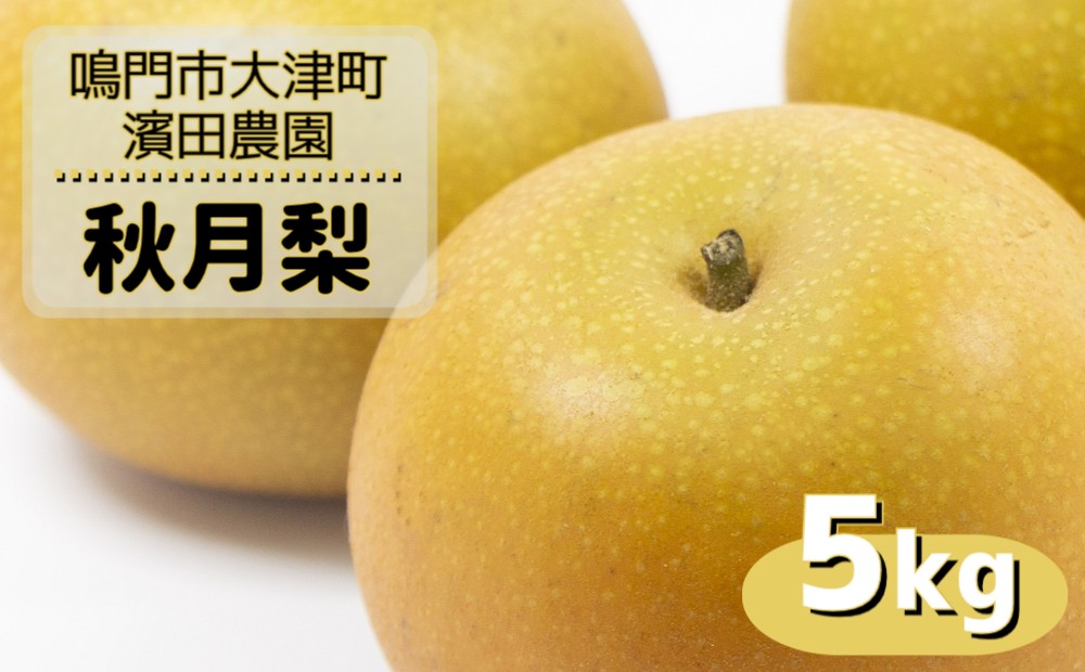 
                  【予約受付中】【9月上旬より順次発送】 濱田農園 秋月梨 約5kg 【数量限定】
                