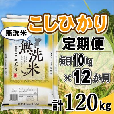 ふるさと納税 大網白里市 【毎月定期便】コシヒカリ 無洗米 10kg (5kg×2袋)全12回