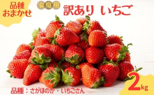 ★予約受付★平川いちご農園【2026年1月～5月 順次配送】玄海町産いちご（家庭用・訳あり）2kg ／ 送料無料 いちご さがほのか いちごさん 希少 果物 くだもの フルーツ デザート 予約受付