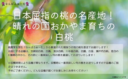 【2025年先行予約】［なんばふぁーむ］岡山県産 旬の桃 1.5kg（4～6玉）[ギフト用]