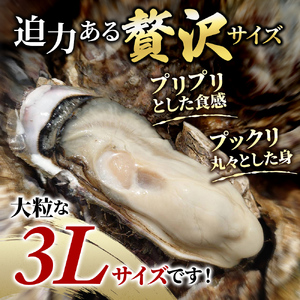牡蠣 3Lサイズ 20個 生食用 マルえもん 殻付き 北海道厚岸 牡蠣